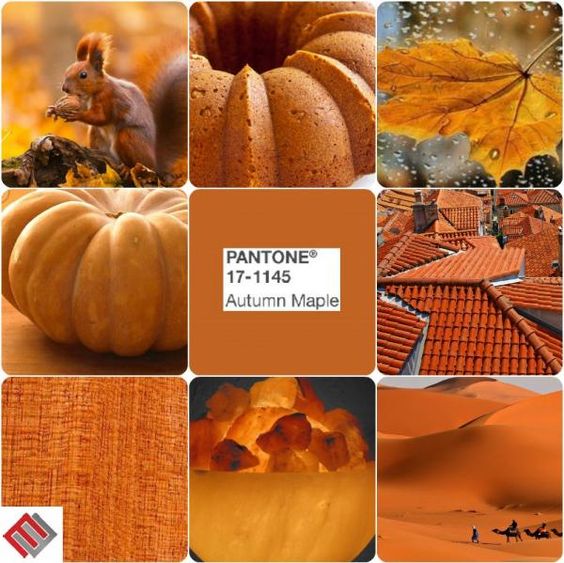 10 главных цветов сезона осень-зима 2017-18 по версии института Pantone