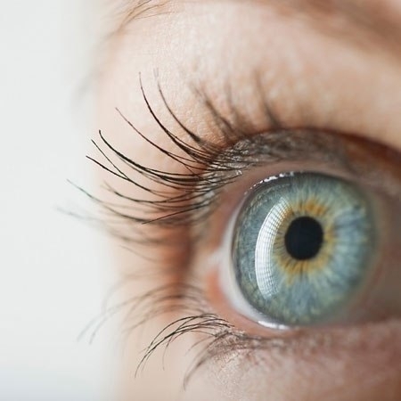Основа здоровых глаз – здоровье