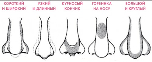 Как визуально уменьшить нос макияжем? Как визуально уменьшить нос макияжем?