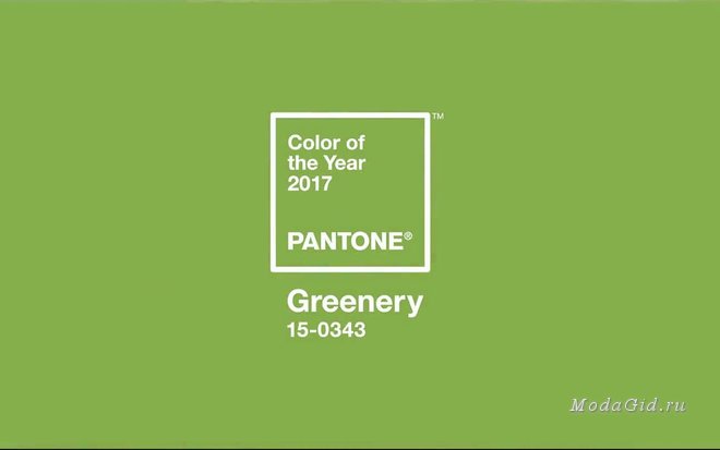 Главный цвет 2017 года от Pantone - Greenery: как носить, с чем сочетать