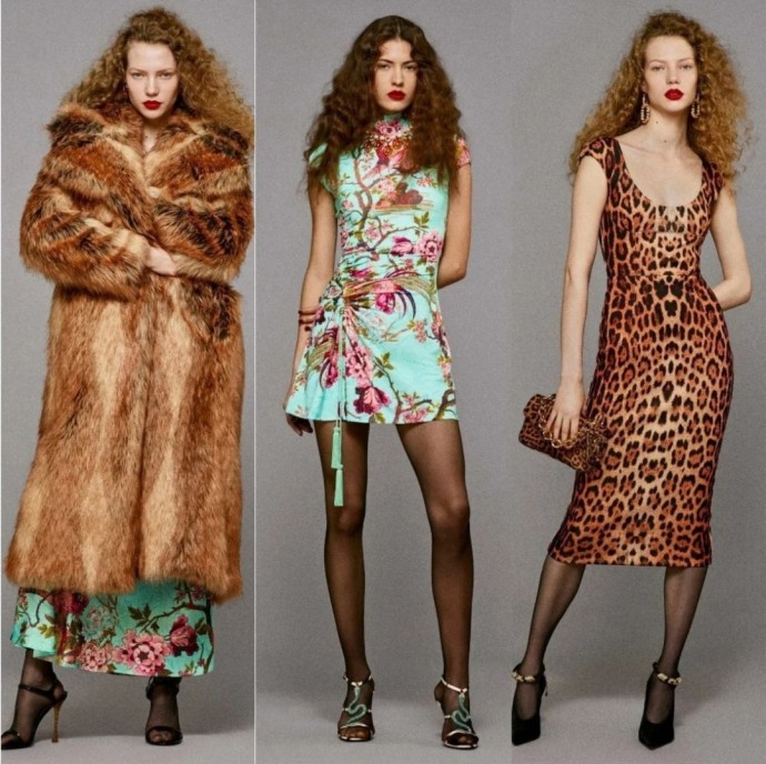 Высокая мода Roberto Cavalli, Pre-Fall 2025