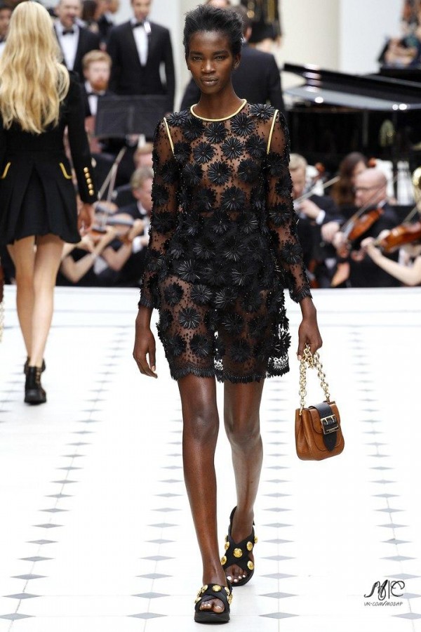 Burberry! Burberry!