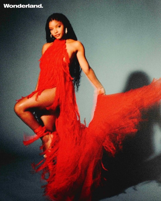 Холли Бэйли (Halle Bailey) в фотосессии для журнала Wonderland (2023) Холли Бэйли (Halle Bailey) в фотосессии для журнала Wonderland (2023)
