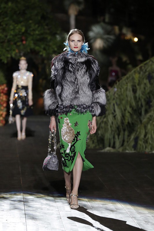 Dolce & Gabbana Haute Couture Dolce & Gabbana Haute Couture