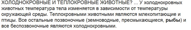 Какие принты будут на пике моды весной 2018?