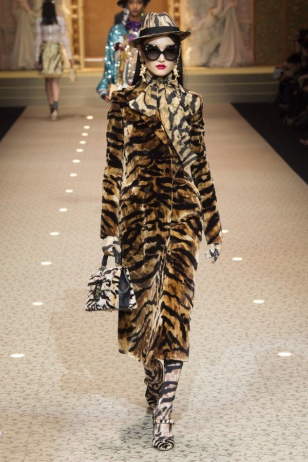 Dolce & Gabbana - Fall-Winter 2018\2019 Dolce & Gabbana - Fall-Winter 2018\2019