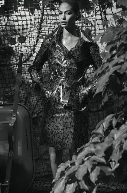 Joan Smalls by Roe Ethridge Joan Smalls by Roe Ethridge