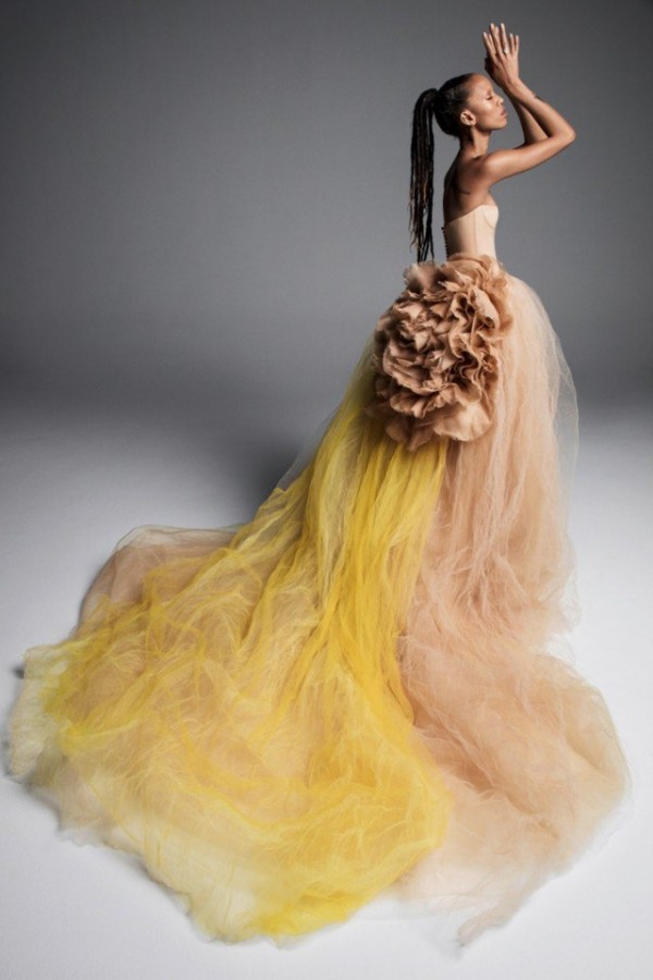 Коллекция от Vera Wang, 2019 Коллекция от Vera Wang, 2019