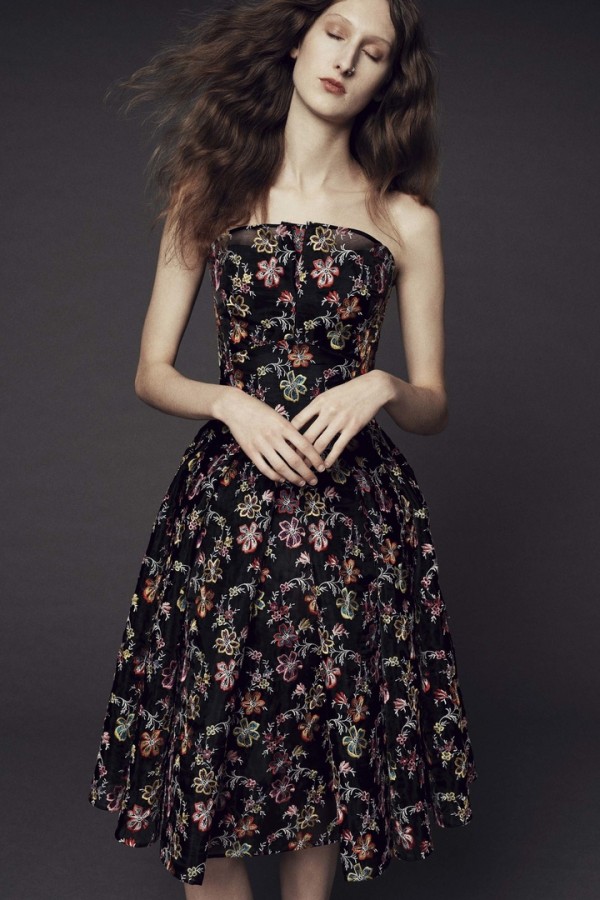 Шикарные платья Zac Posen Шикарные платья Zac Posen