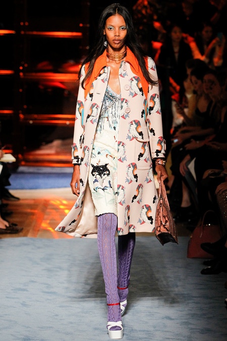 Miu Miu 2019 Miu Miu 2019
