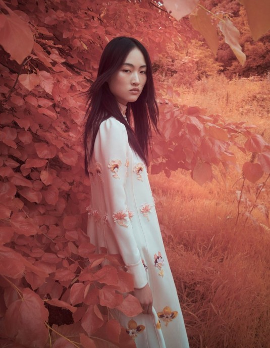 Джин Вен (Jing Wen) украсила страницы Vogue China