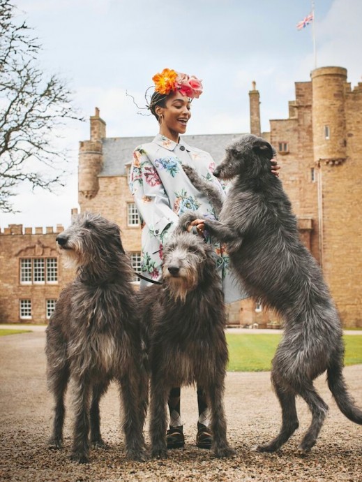 Джордан Данн (Jourdan Dunn) в фотосессии для журнала Harper’s Bazaar UK (2024) Джордан Данн (Jourdan Dunn) в фотосессии для журнала Harper’s Bazaar UK (2024)