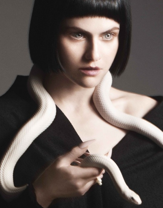 Александра Даддарио (Alexandra Daddario) в фотосессии для журнала Flaunt (2024) Александра Даддарио (Alexandra Daddario) в фотосессии для журнала Flaunt (2024)