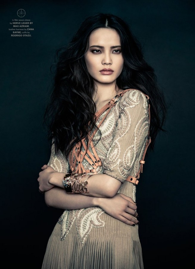 Li Wei for Fashion Gone Rogue by Zhang Jingna Li Wei for Fashion Gone Rogue by Zhang Jingna