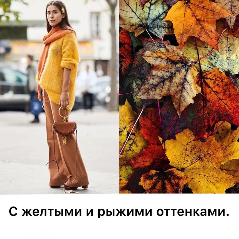 С чем сочетать коричневый С чем сочетать коричневый