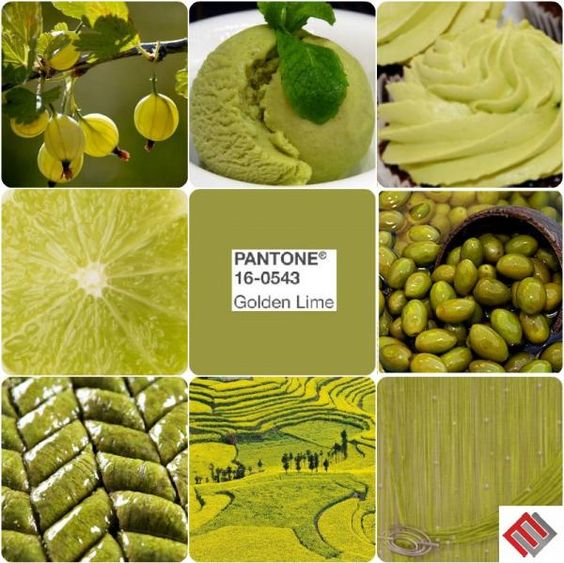 10 главных цветов сезона осень-зима 2017-18 по версии института Pantone 10 главных цветов сезона осень-зима 2017-18 по версии института Pantone