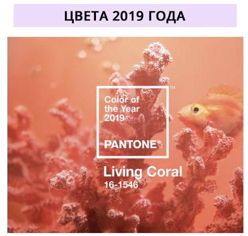 Лучшие сочетaния с цветoм года - Living Coral Лучшие сочетaния с цветoм года - Living Coral