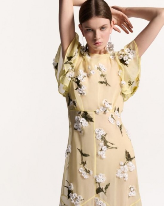Коллекция Erdem Pre-Spring 2025