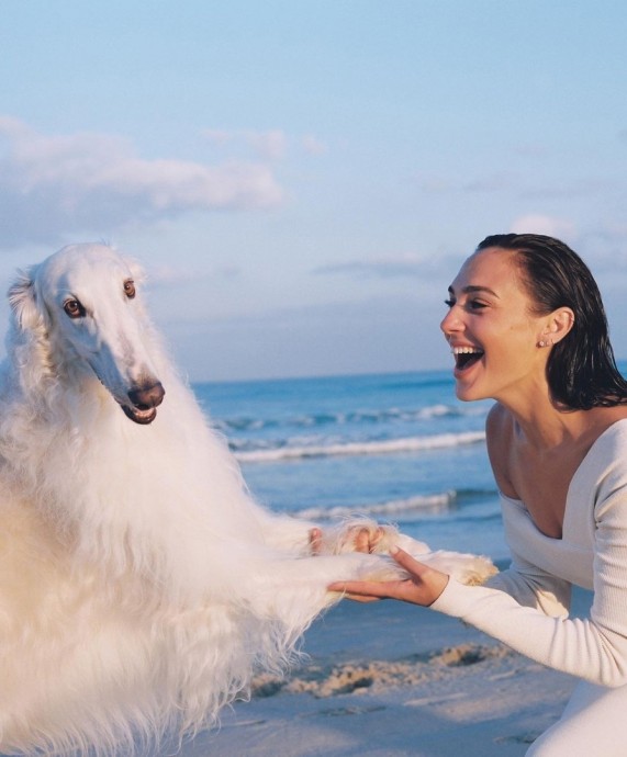 Галь Гадот (Gal Gadot) появилась на страницах Vanity Fair Magazine Галь Гадот (Gal Gadot) появилась на страницах Vanity Fair Magazine