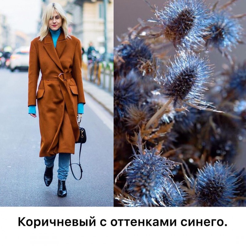 С чем сочетать коричневый С чем сочетать коричневый