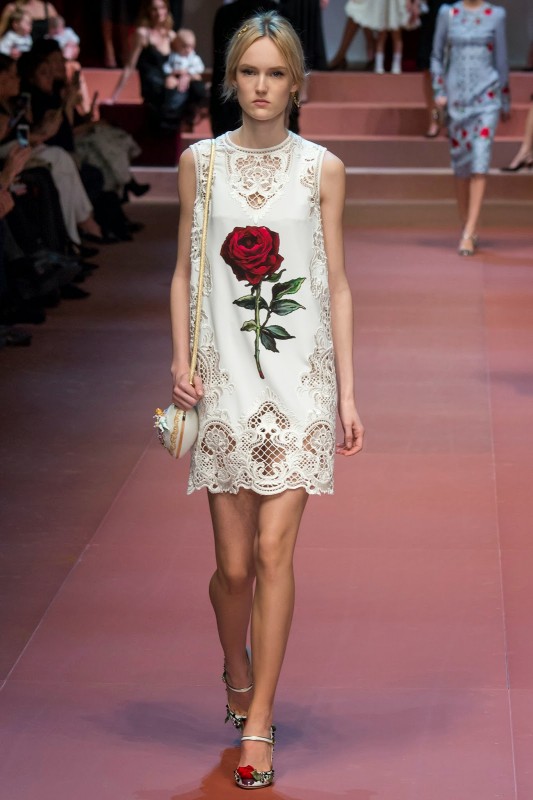 Dolce & Gabbana 2019 Dolce & Gabbana 2019
