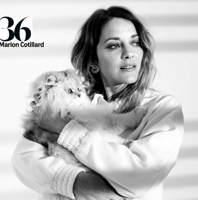Марион Котийяр (Marion Cotillard) в фотосессии для журнала Grazia France Марион Котийяр (Marion Cotillard) в фотосессии для журнала Grazia France
