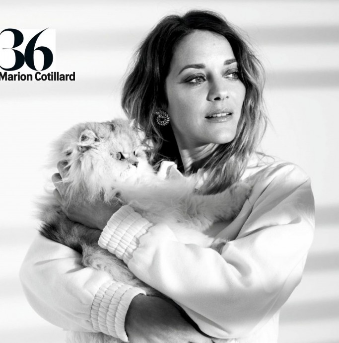 Марион Котийяр (Marion Cotillard) в фотосессии для журнала Grazia France