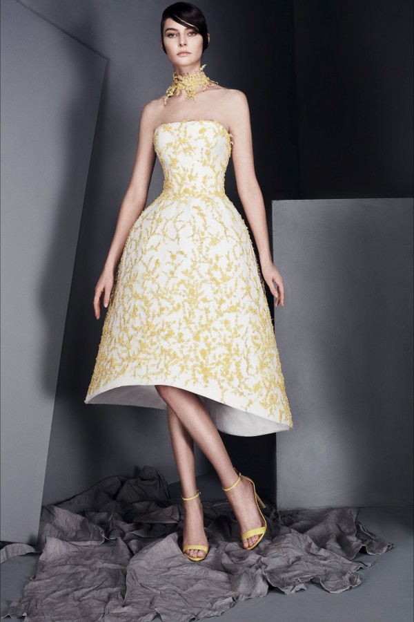 Haute Couture Spring Summer 2017 Ashi Studio Haute Couture Spring Summer 2017 Ashi Studio