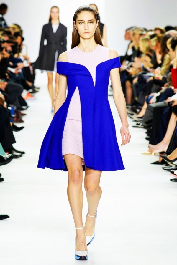 Christian Dior Fall Winter 2014/15 Collection - PFW