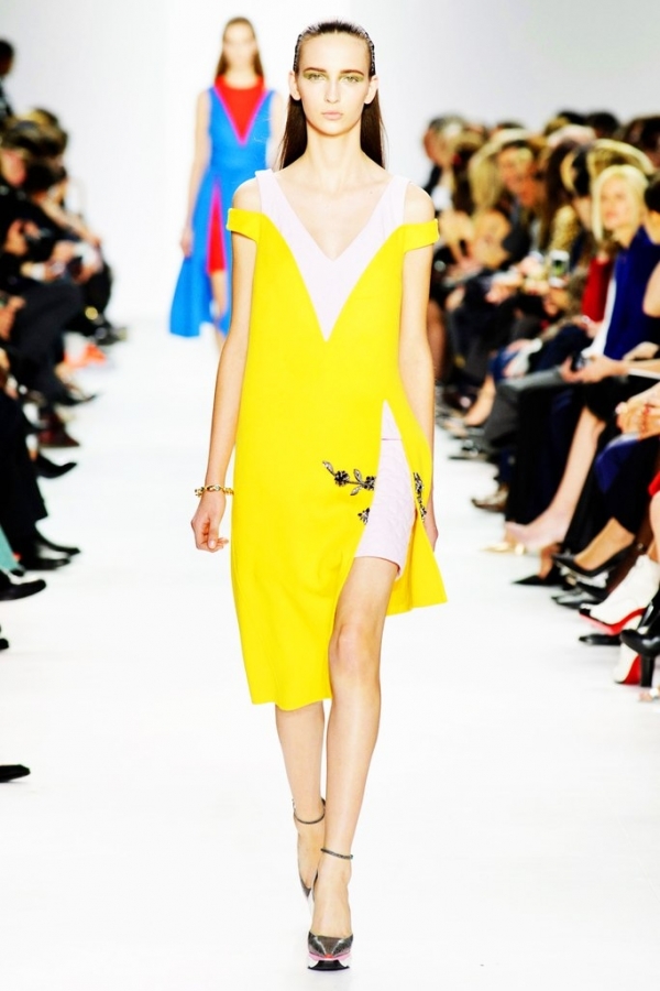 Christian Dior Fall Winter 2014/15 Collection - PFW Christian Dior Fall Winter 2014/15 Collection - PFW