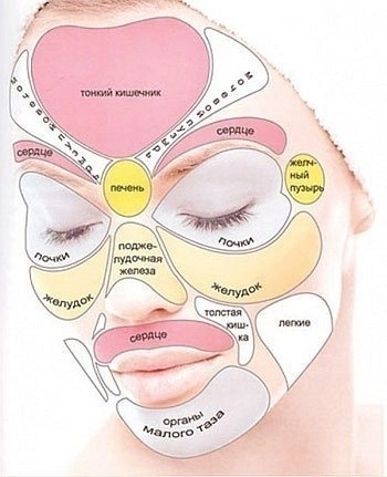 По местонахождению прыщей можно узнать с какими органами у вас проблемы.