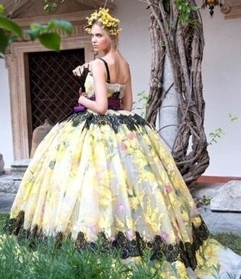 Dolce & Gabbana Couture