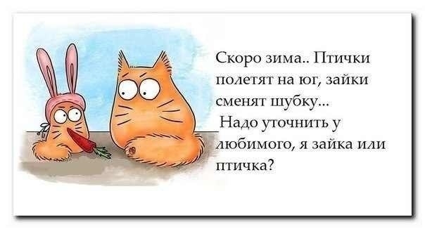 no comments