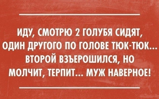 no comments