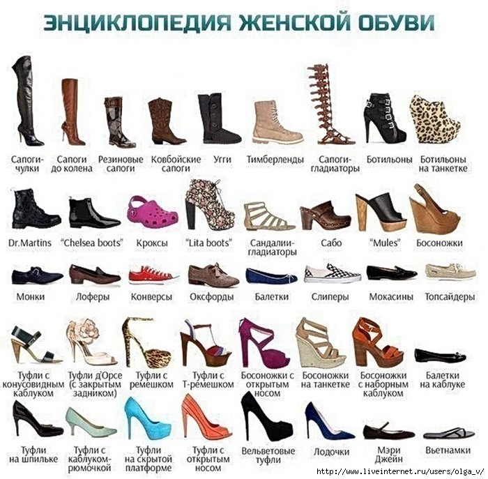 Энциклопедия женской обуви Энциклопедия женской обуви