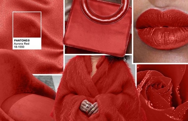 Институт Pantone, мировой законодатель «цветовых» трендов, опубликовал прогноз на осень 2016 года. Институт Pantone, мировой законодатель «цветовых» трендов, опубликовал прогноз на осень 2016 года.