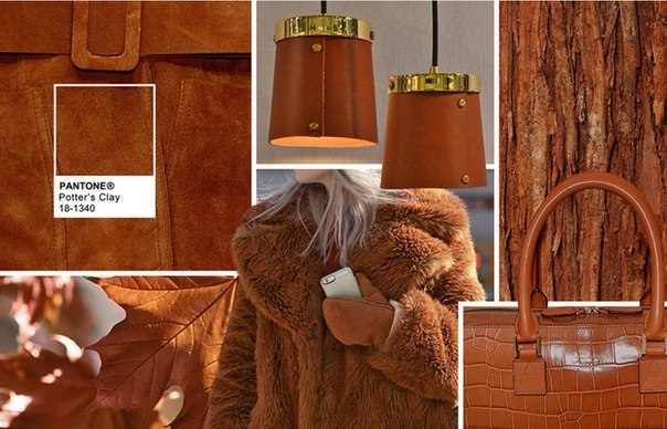 Институт Pantone, мировой законодатель «цветовых» трендов, опубликовал прогноз на осень 2016 года. Институт Pantone, мировой законодатель «цветовых» трендов, опубликовал прогноз на осень 2016 года.