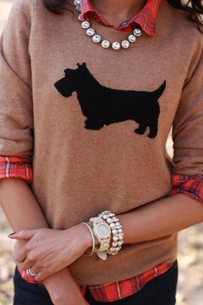 Примеры сочетания рубашка + свитер.